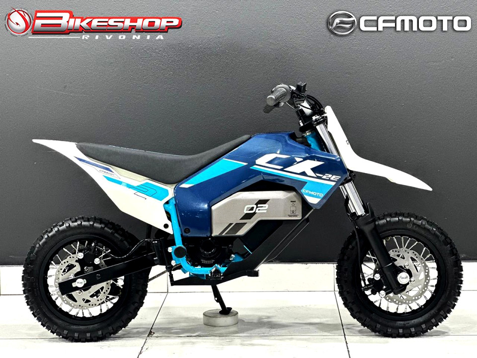 CFMOTO ELECTRIC, image 2