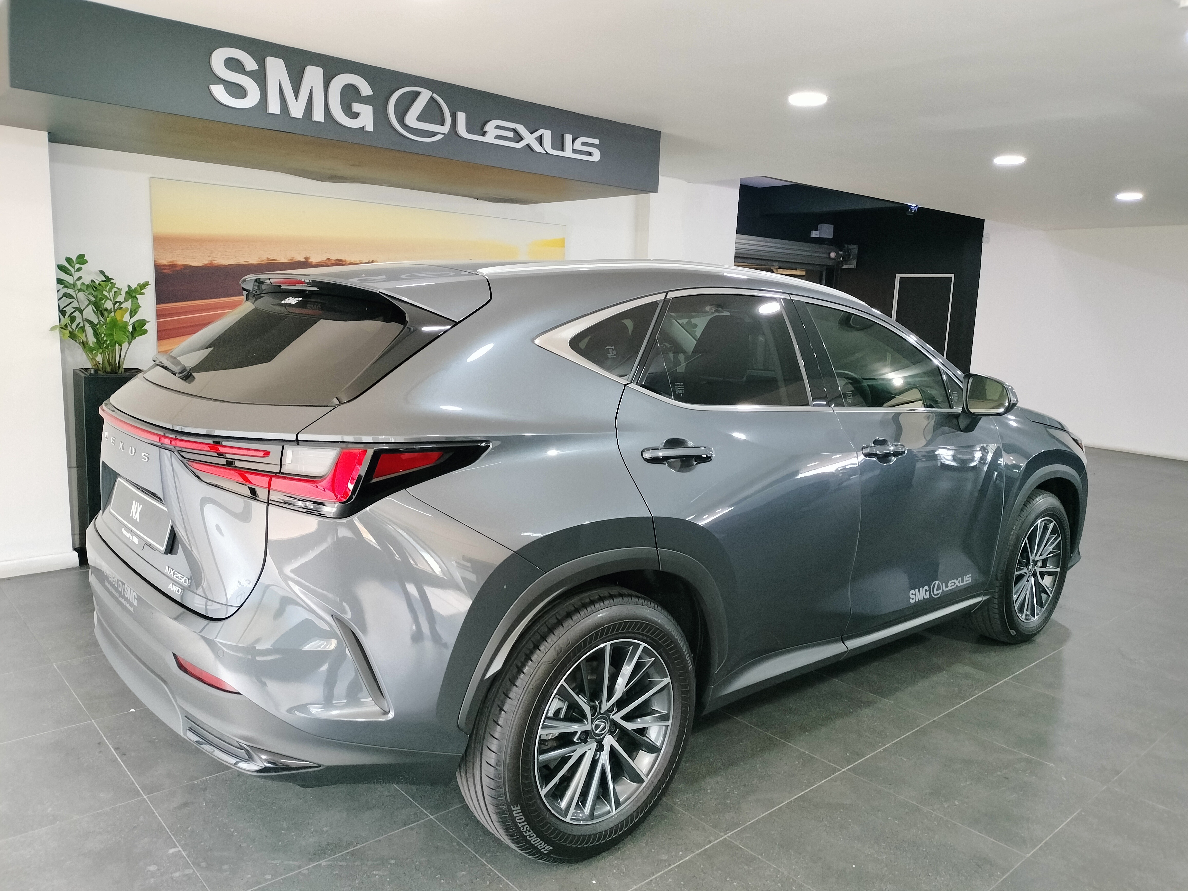 LEXUS NX 250 EX, image 2