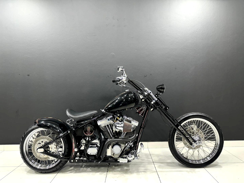 HARLEY-DAVIDSON Screamin Demon, image 2