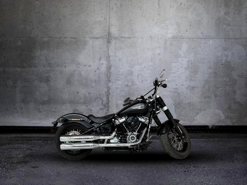 HARLEY DAVIDSON SOFTAIL SLIM, image 1